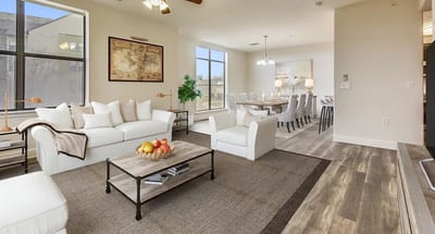 Bright, modern common area with dining and living space