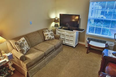 Cozy living room with a sofa and TV