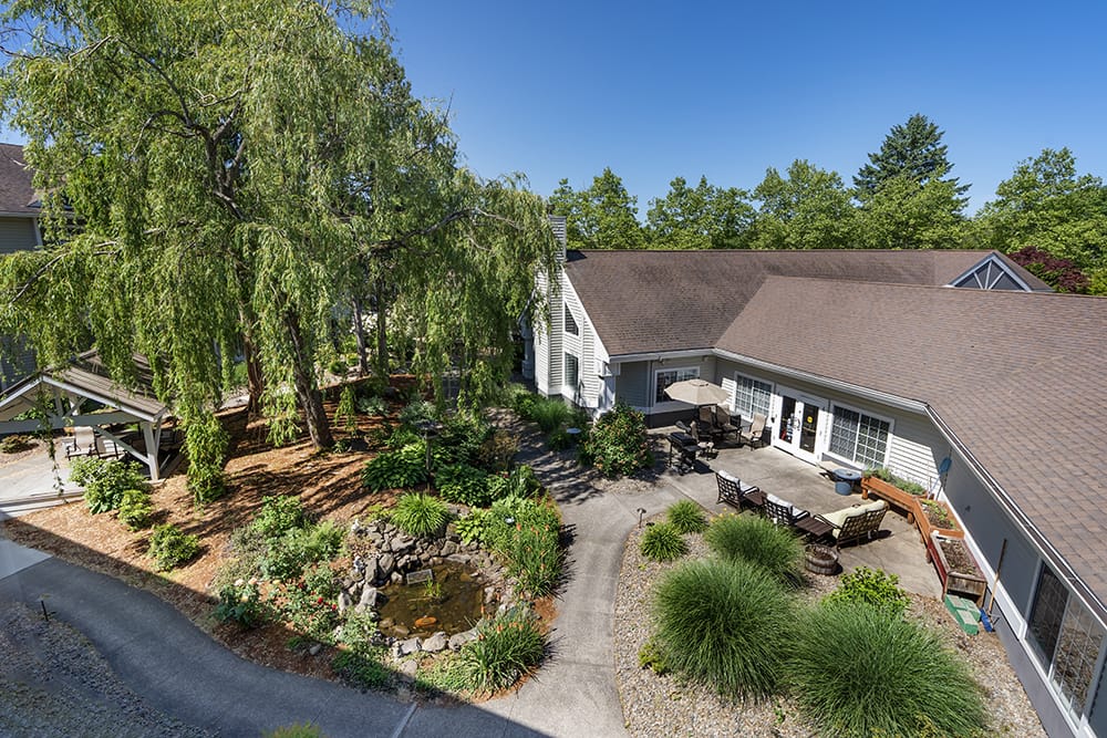 Aerial view of a serene outdoor space with a pond
