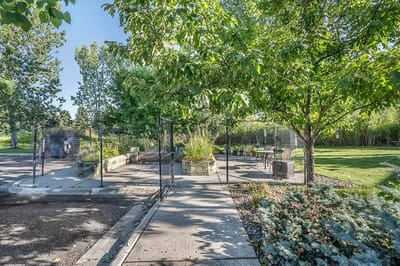 Pathway in a landscaped outdoor space with seating