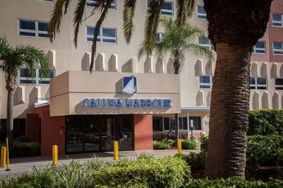 Exterior view of Calusa Harbour with palm trees.