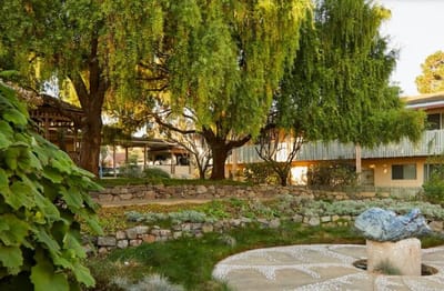 Lush outdoor area with trees and landscaping