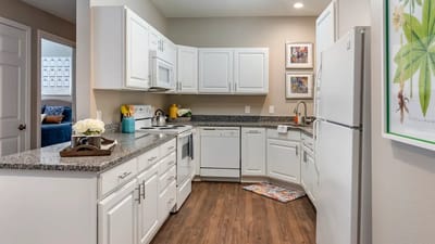 Modern kitchen in a senior living apartment