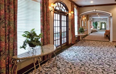 Interior hallway with decorative plants and lighting