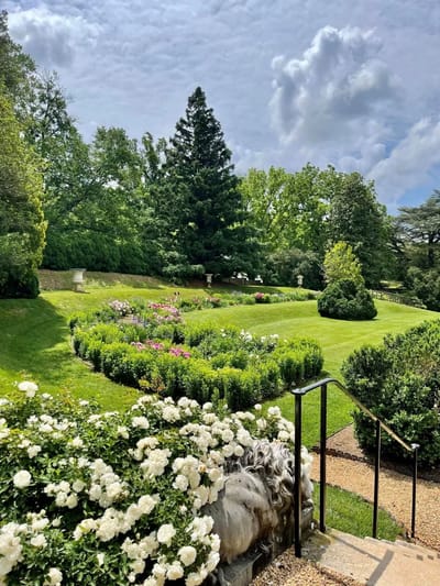 Beautiful garden with colorful flowers and lush greenery