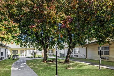 Outdoor courtyard with trees and pathway