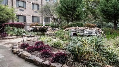 A serene garden area with pond and greenery