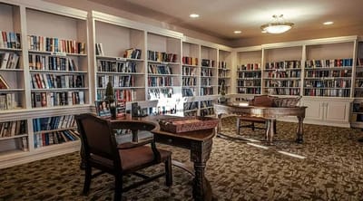 Cozy interior of a library with shelves of books