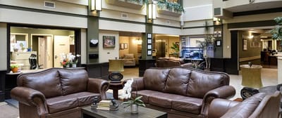 Cozy common area with leather sofas and plants
