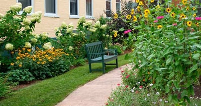 Beautifully landscaped garden path with flowers