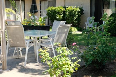Outdoor seating area surrounded by plants