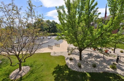 View of landscaped outdoor space with trees and pathways