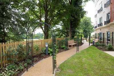 Pathway through a landscaped outdoor space