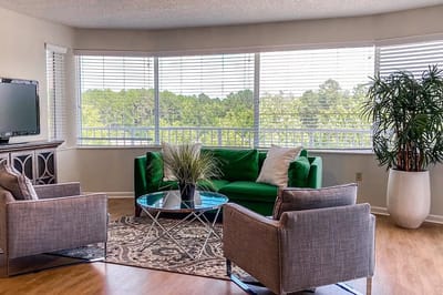 Bright interior of a living area with green sofa