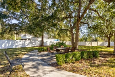 Outdoor seating area in a landscaped garden