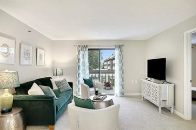 Bright living room with green furniture and natural light