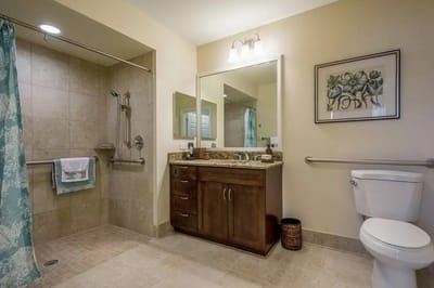 Stylish bathroom with grab bars and modern fixtures