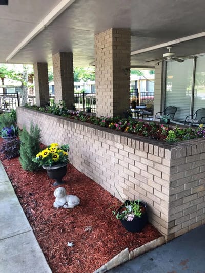 Outdoor garden area with flowers and decoration