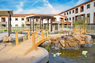 Bridge and water feature in an outdoor space