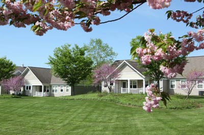 Exterior view of a senior living facility with blooming trees
