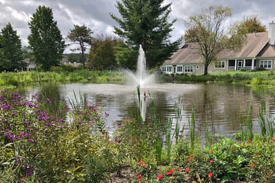 A serene pond with a fountain surrounded by lush greenery