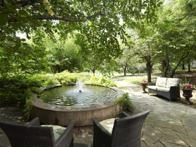 Beautiful outdoor garden area with a fountain
