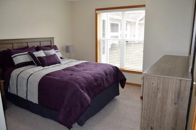 Cozy bedroom with purple bedding and natural light