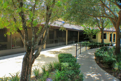Pathway surrounded by trees and greenery