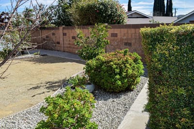 Well-maintained garden area with shrubs and walkways
