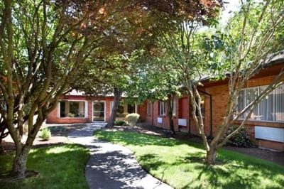 Outdoor pathway surrounded by trees and buildings