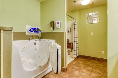 Bathroom with a walk-in tub and safety features