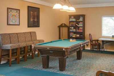 Interior common area with a pool table