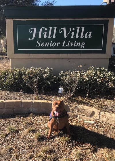 A dog in front of the Hill Villa Senior Living sign