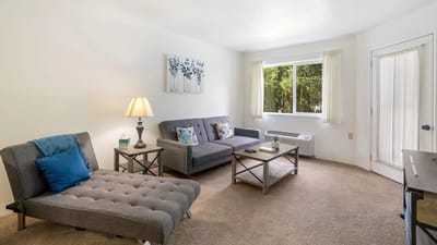 Bright interior living space with comfortable furniture