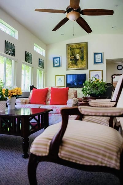 Cozy common area with seating and plants
