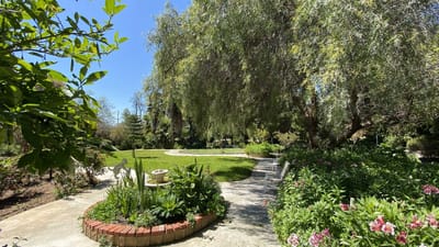 Lush garden with trees and walking path