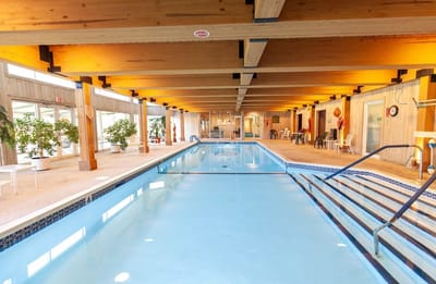 Indoor swimming pool with seating and plants