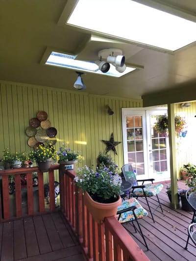 Outdoor patio with plants and seating area