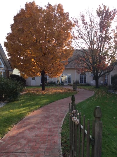 Pathway surrounded by trees in fall colors