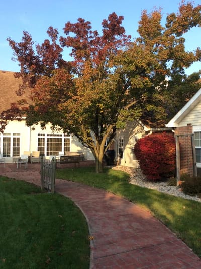 Path through an outdoor space with colorful trees