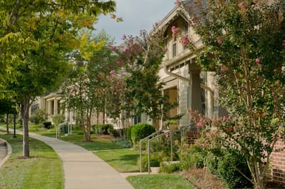 Walking path lined with trees and residences