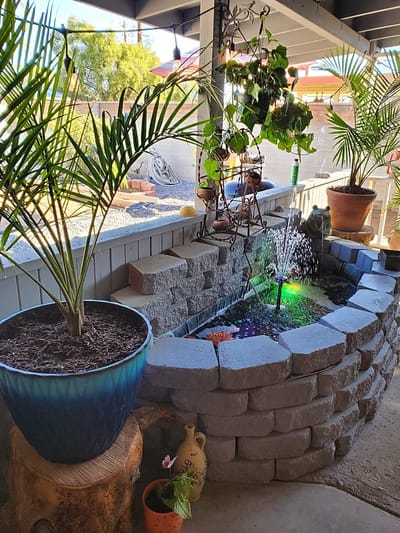 A serene outdoor garden space with a fountain