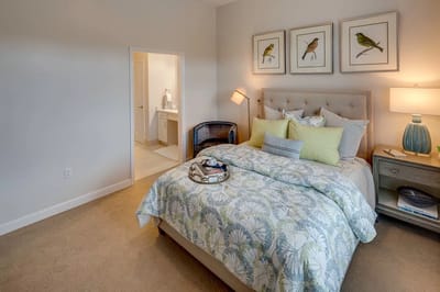 Cozy resident room with decorative elements