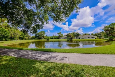 Outdoor view of a serene pond surrounded by greenery