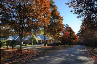Scenic view of the facility entrance surrounded by trees