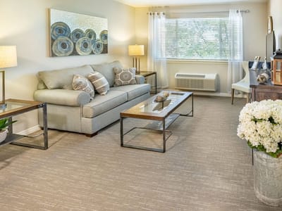 Cozy living room setup with modern decor