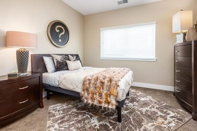 Modern bedroom with a bed, decorative pillows, and stylish lamp