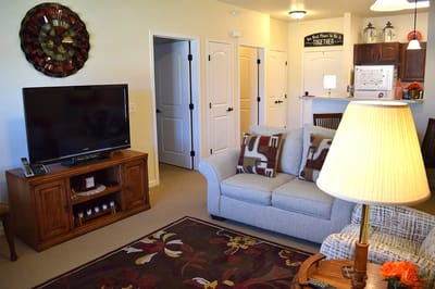 Cozy living room interior with a sofa and television