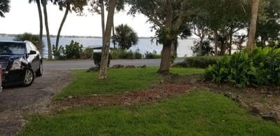 Scenic view of the shoreline with trees and grass