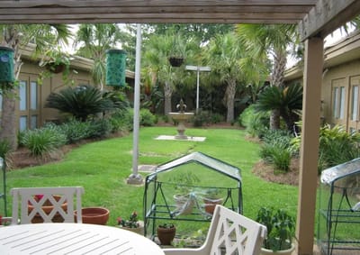 Garden area with greenery and a fountain